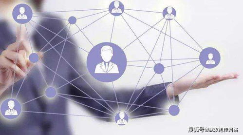 企業網站制作費用差異在哪里？深入解析互聯網上網服務的成本因素